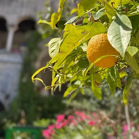 Egle's Сиракузы